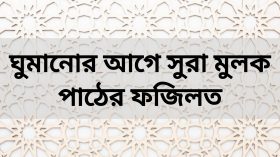 ঘুমানোর আগে সুরা মুলক পাঠের ফজিলত