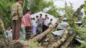 বৈশাখী ঝড়ে গাছ পড়ে মা ও ২ মেয়ের মৃত্যু