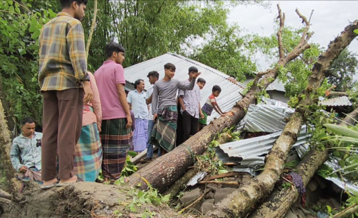 বৈশাখী ঝড়ে গাছ পড়ে মা ও ২ মেয়ের মৃত্যু